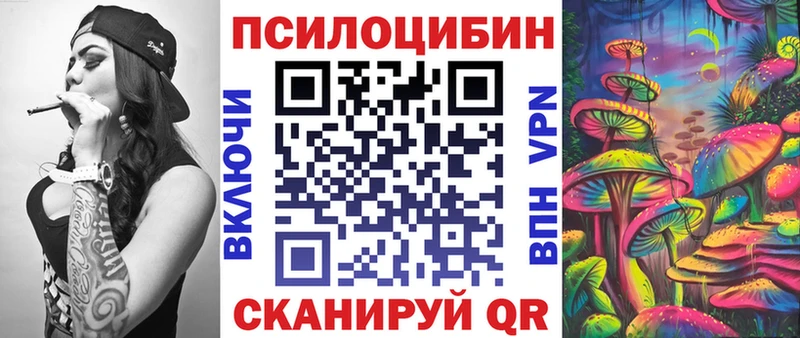 Псилоцибиновые грибы Psilocybe  где купить наркотик  Новопавловск 